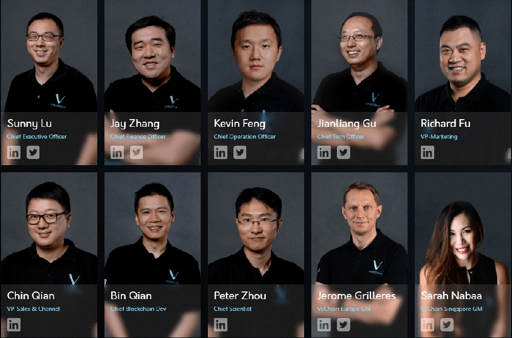 Equipe de moedas VeChain