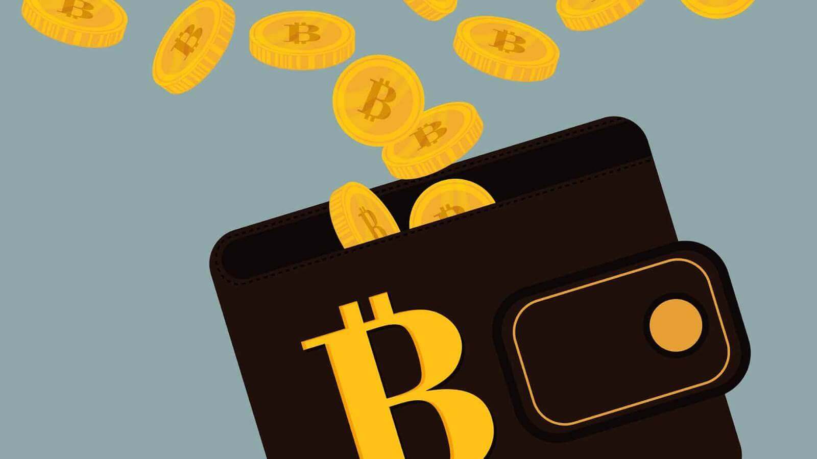 Stocați bitcoins în portofel
