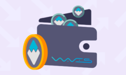 waves-wallet-review[1]